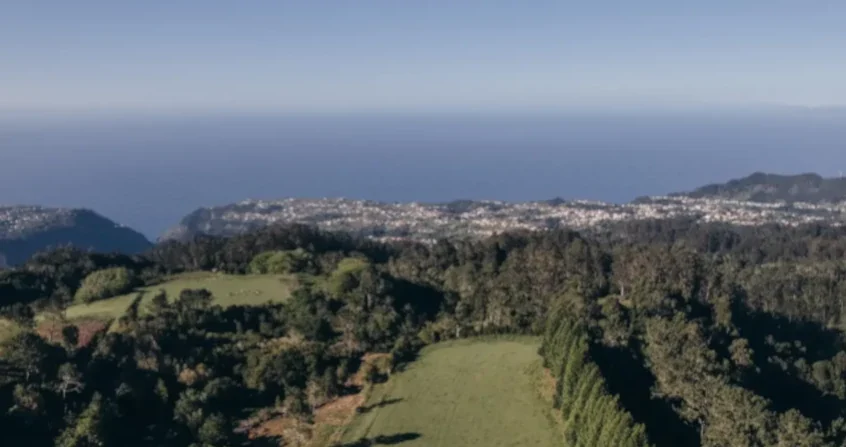 Estratégia do Setor do Turismo da Região Autónoma da Madeira 2022–2027