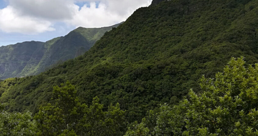 Reservas da Biosfera - Floresta Laurissilva da Madeira, Porto Santo e Santana